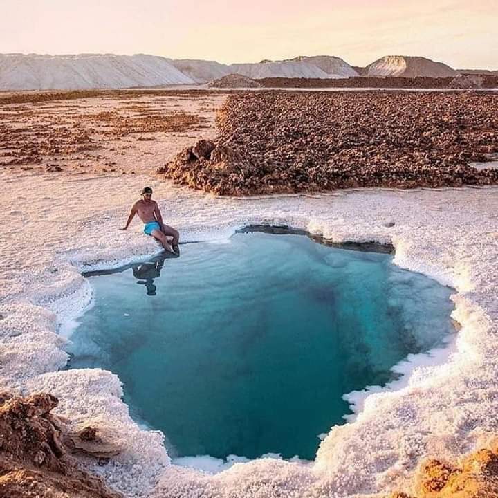 325174143 2079315352268062 7409717775028022521 n