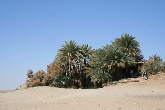 FB IMG 1560113929953 1