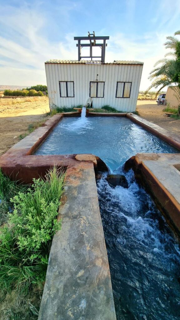 Salt Lakes Bahariya Oasis Tours 2 IMG 20221205 144735 861