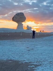 WhatsApp Image 2025-11-22 at 12.25.20 PM (1)