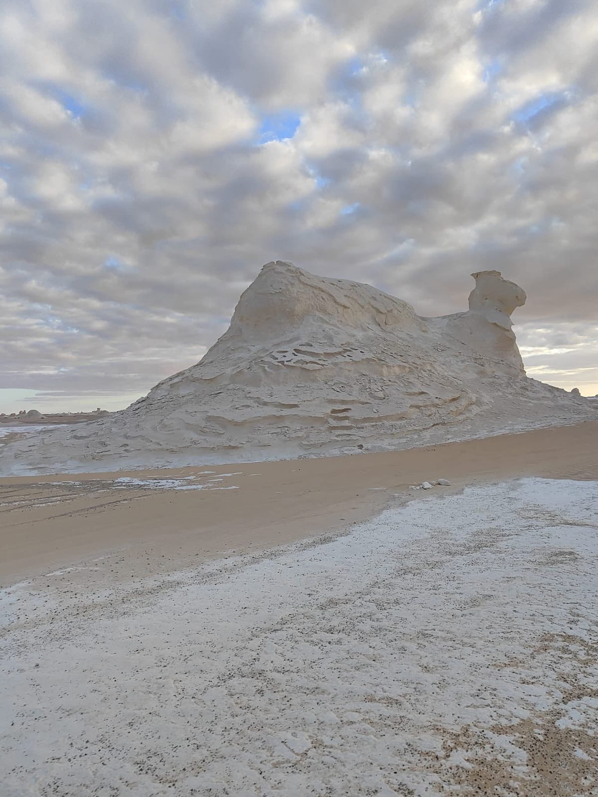 WhatsApp Image 2026-01-20 at 5.04.32 PM (1)