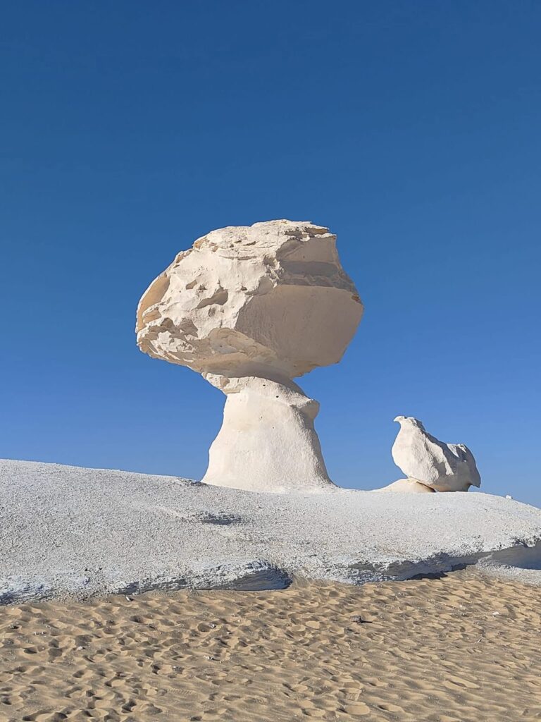 WhatsApp Image 2026 01 20 at 5.04.32 PM 2