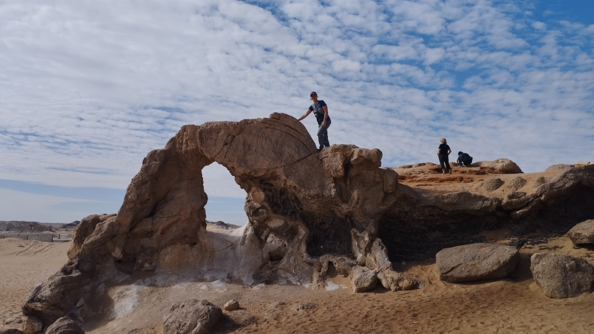 WhatsApp Image 2026-01-20 at 5.04.32 PM