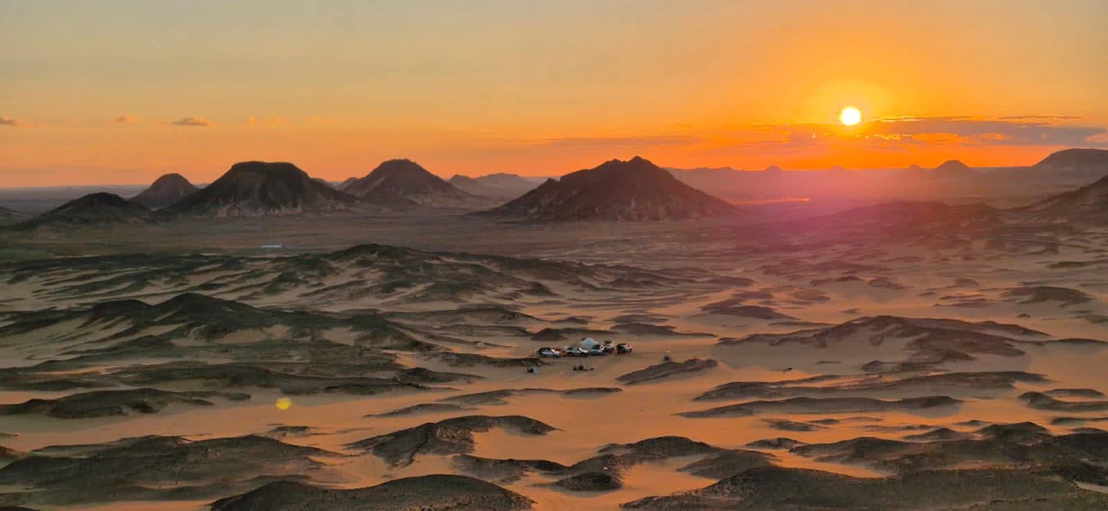 WhatsApp Image 2026-01-20 at 5.04.33 PM (1)