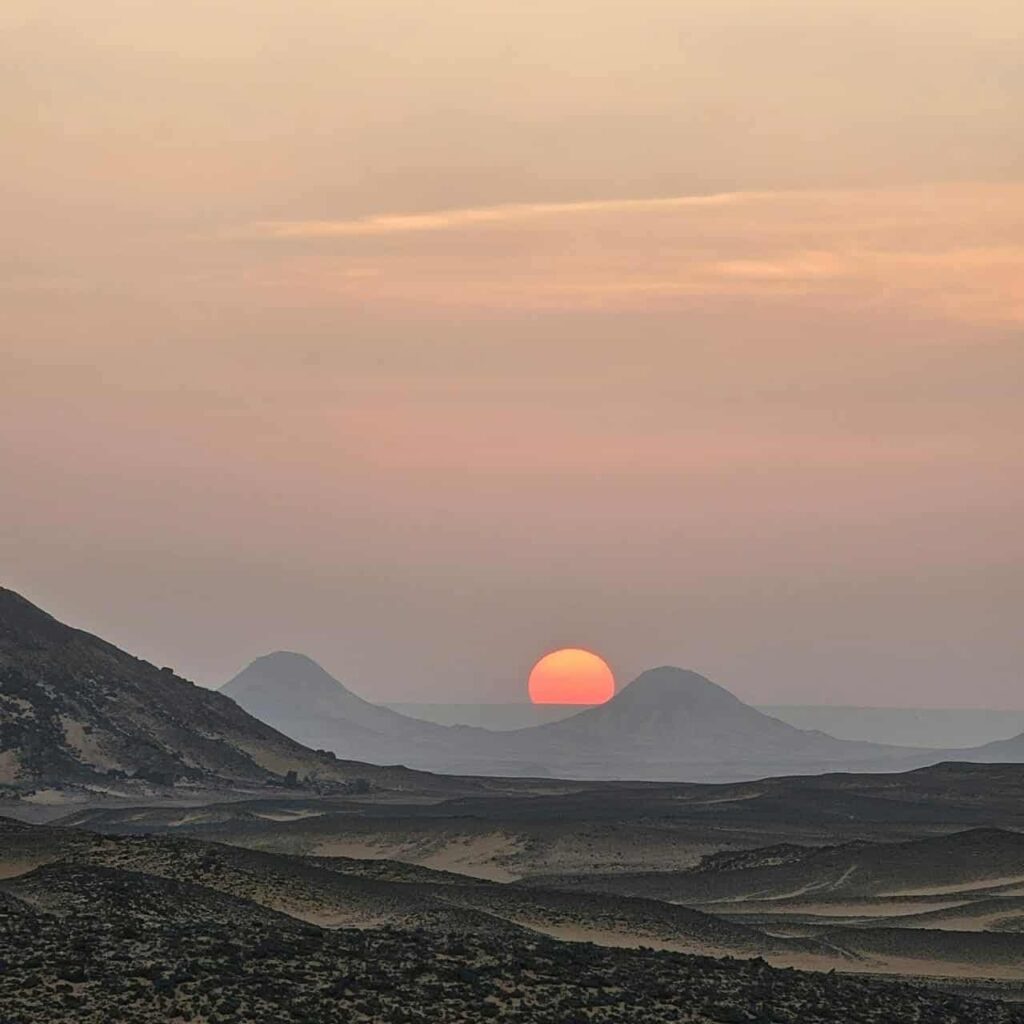 WhatsApp Image 2026 01 20 at 5.04.33 PM