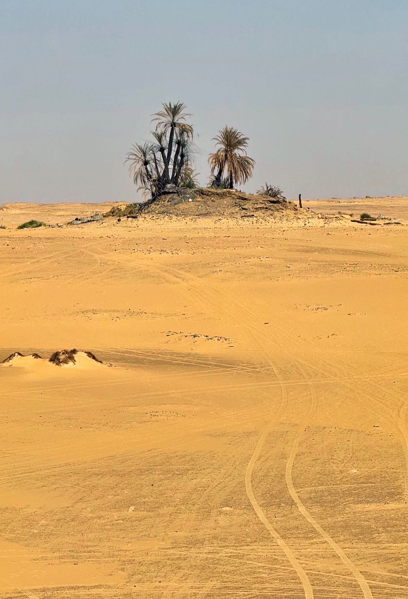 WhatsApp Image 2026-01-20 at 5.04.33 PM (2)