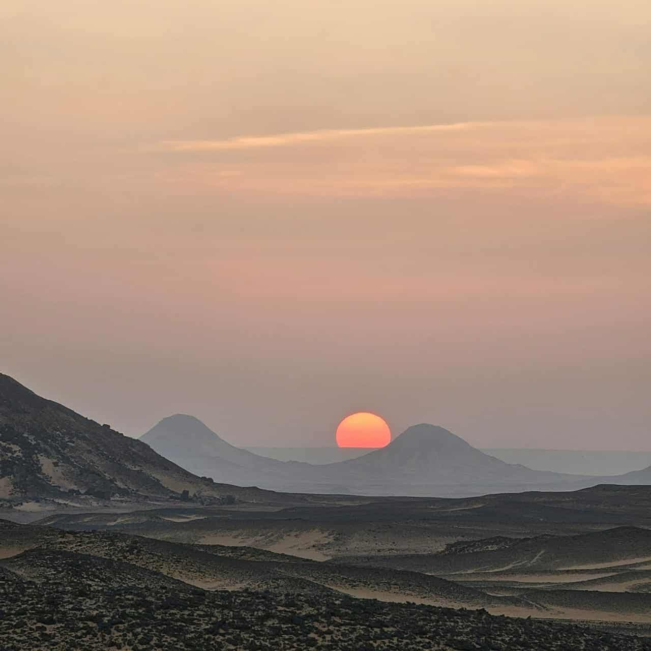 WhatsApp Image 2026-01-20 at 5.04.33 PM