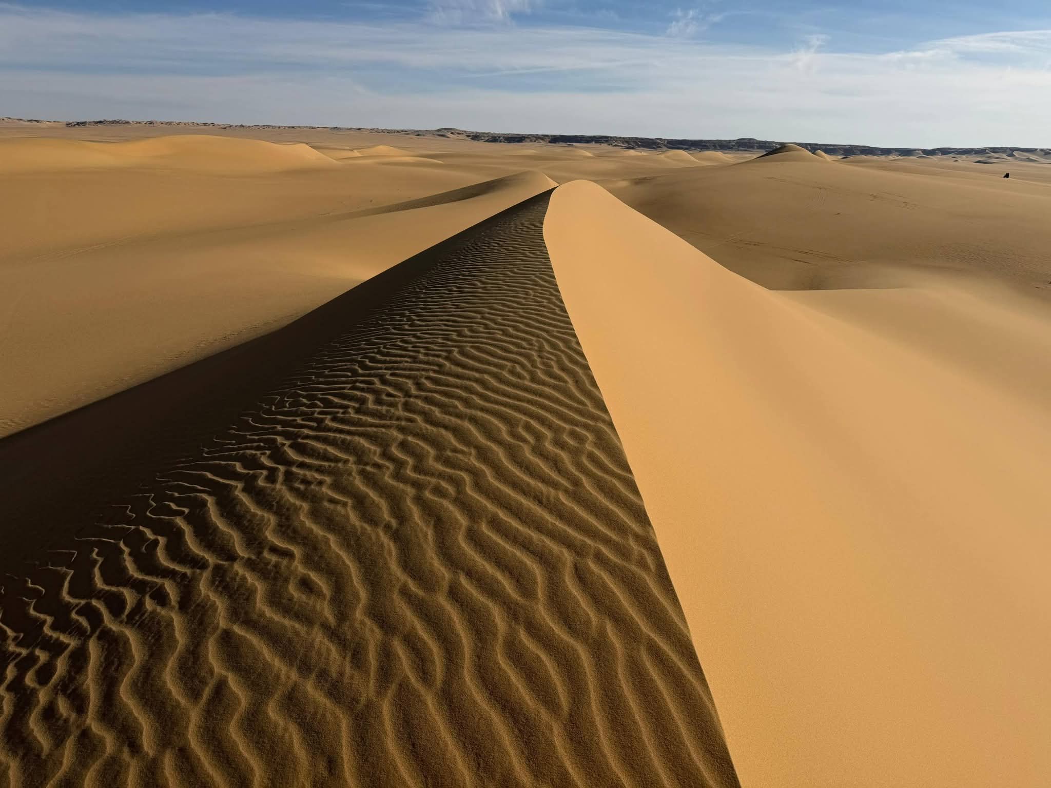 WhatsApp Image 2026-01-20 at 8.59.16 AM