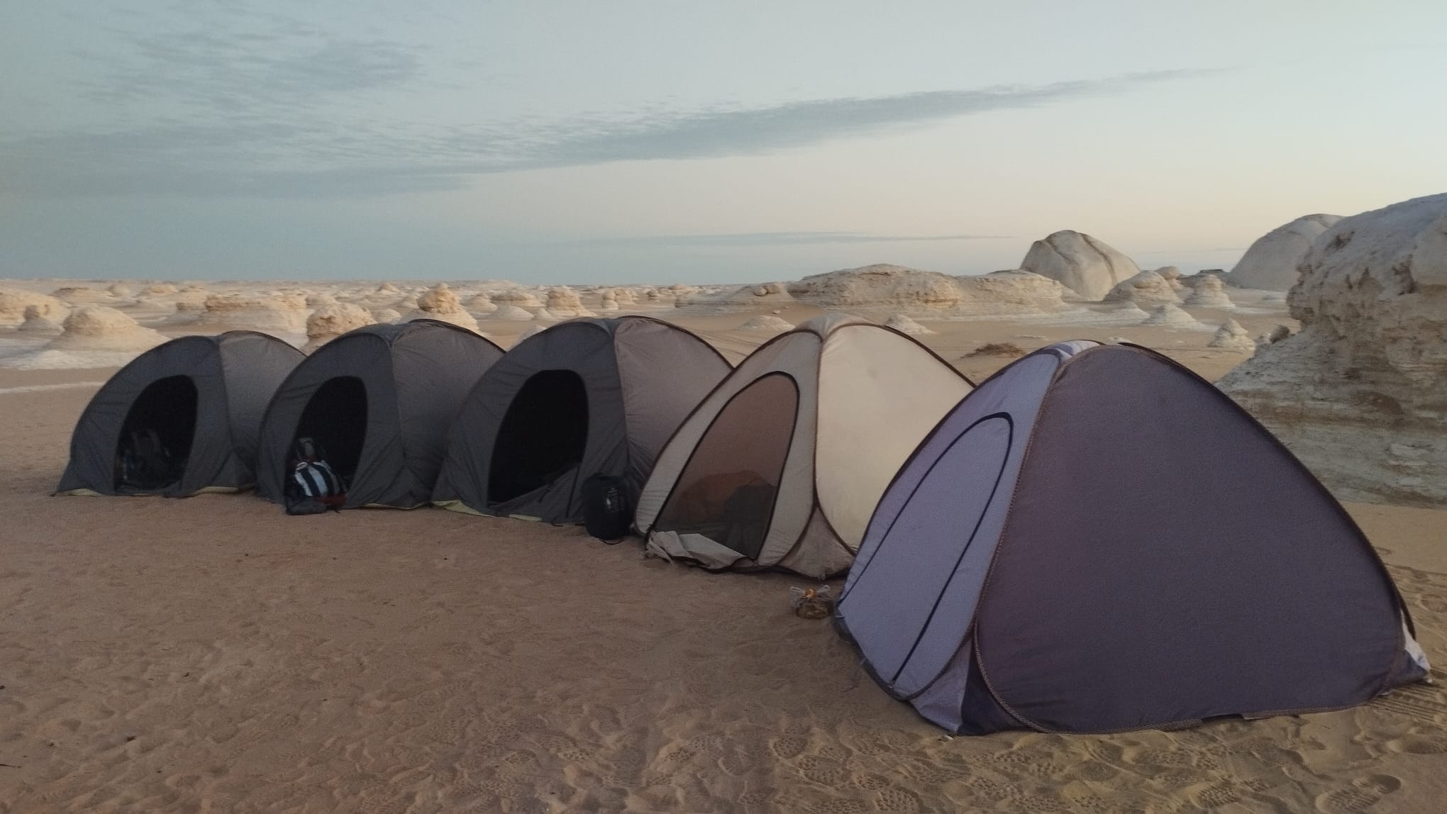 WhatsApp Image 2026-01-20 at 8.59.19 AM