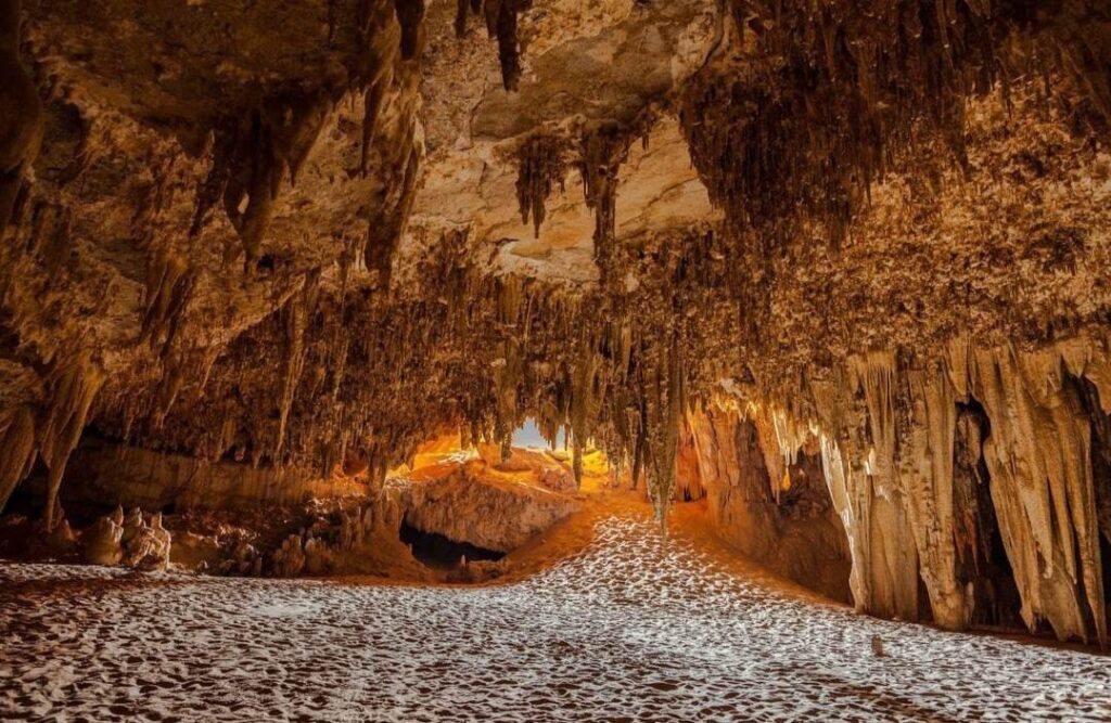 WhatsApp Image 2026 04 20 at 5.10.03 PM